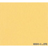9004-1 
